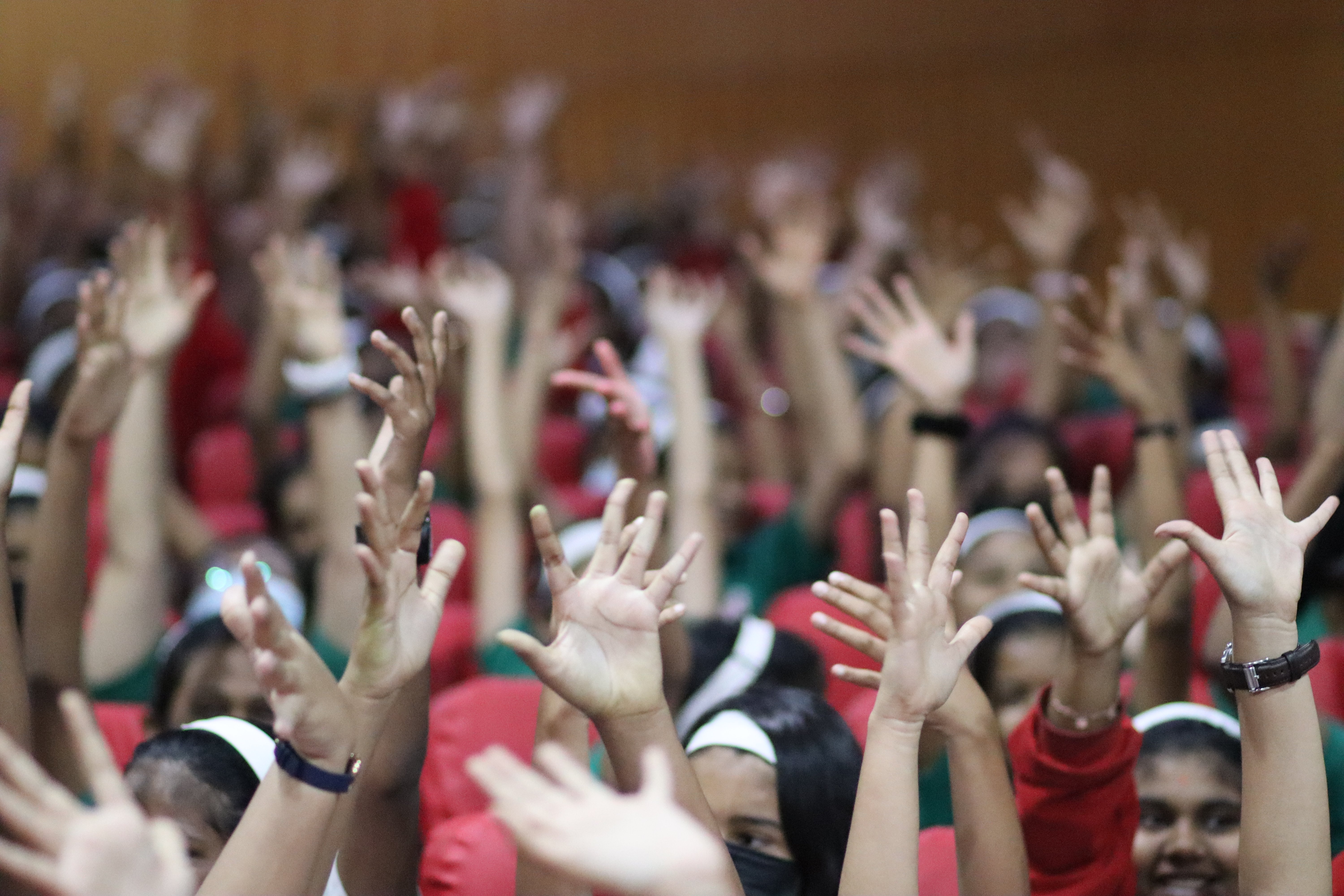 Students volunteering in the community